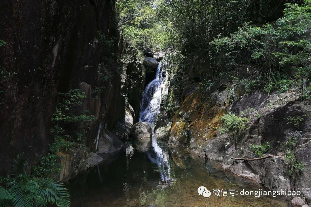 两会新视野 | 王虹：提升改造老旧小区 让百姓“推窗见绿”“出门入园”
