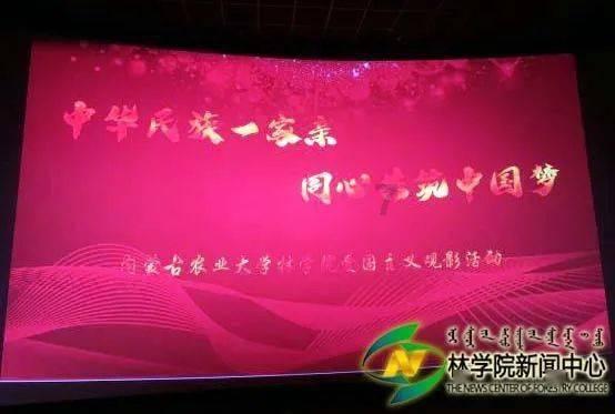 精湛技术,尽心守护——临城县人民医院神经内二科成功救治脑梗死患者