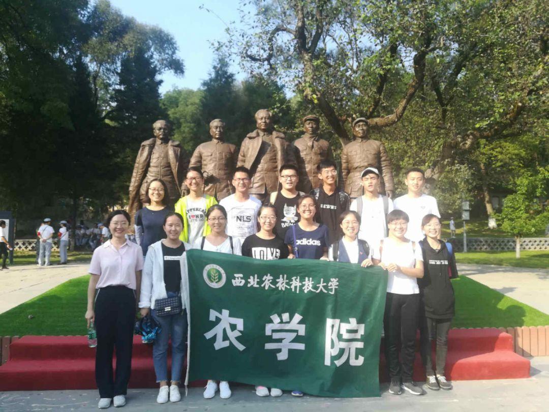 宁波中百2023年净利预减83% 非经常性损益影响显著